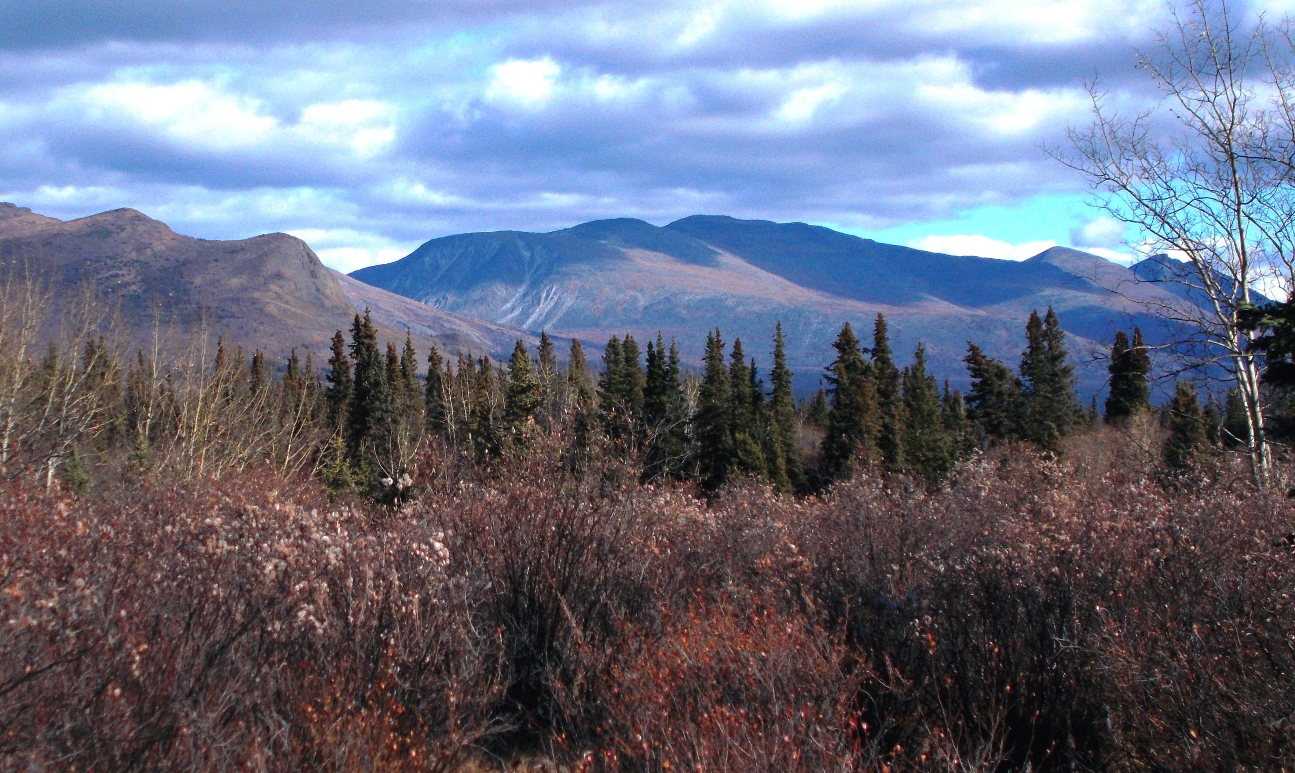 Ruby Camp – Welcome to Yukon History Trails